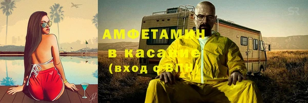 сатива Володарск