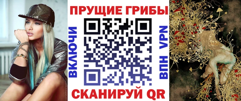 наркошоп Камешково Галлюциногенные грибы Psilocybine cubensis